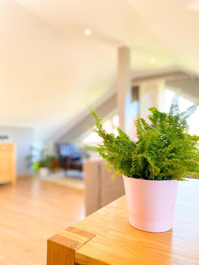 Fewo Sulzer Siedlung Erfurt Apartamento Exterior foto